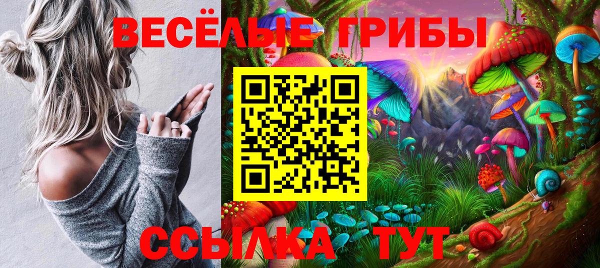 Сызрань  наркошоп  Псилоцибиновые грибы ЛСД  Вход с VPN  Галлюциногенные грибы Magic Shrooms 