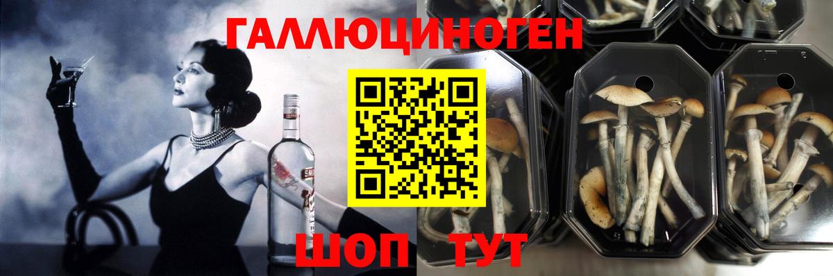 Галлюциногенные грибы ЛСД Сызрань